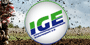 IGE
