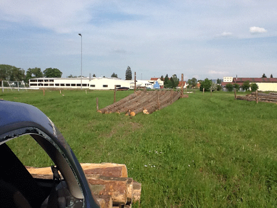 Baumstämme als Hindernisse.